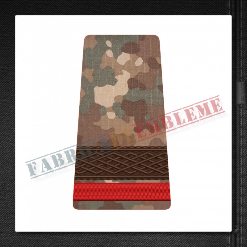 Grade militare sergent student - Forte Terestre COMBAT