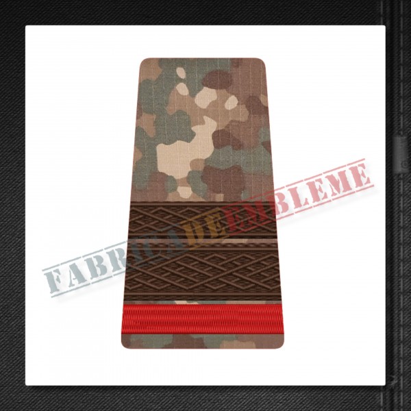 Grade militare sergent major student - Forte Terestre COMBAT