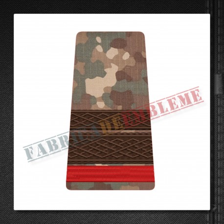 Grade militare sergent major student - Forte Terestre COMBAT
