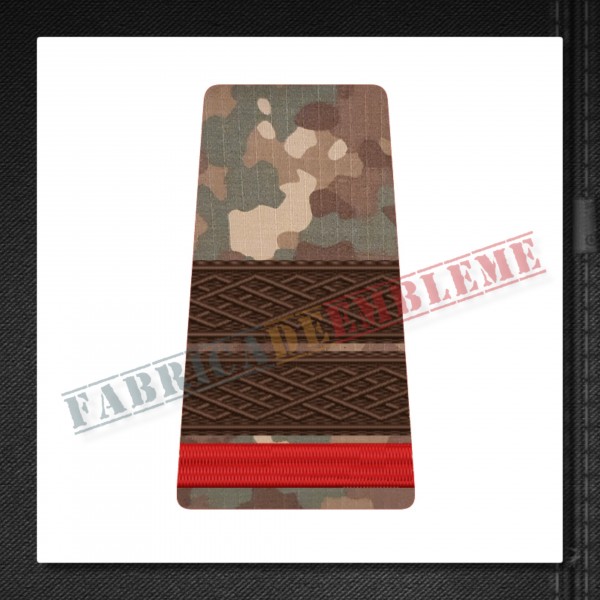 Grade militare plutonier student - Forte Terestre COMBAT