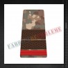Grade militare plutonier student - Forte Terestre COMBAT