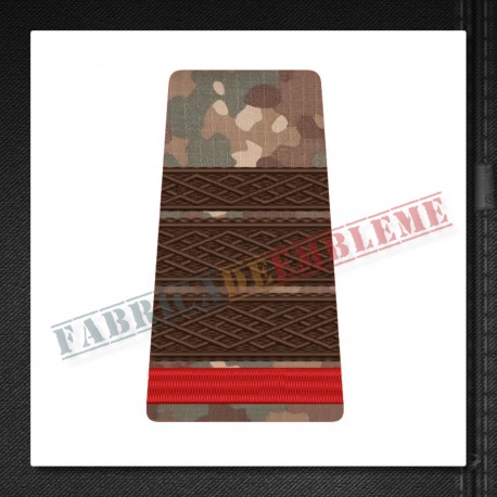 Grade militare plutonier major student - Forte Terestre COMBAT