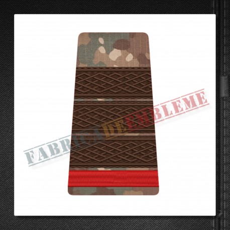 Grade militare plutonier adjutant student - Forte Terestre COMBAT