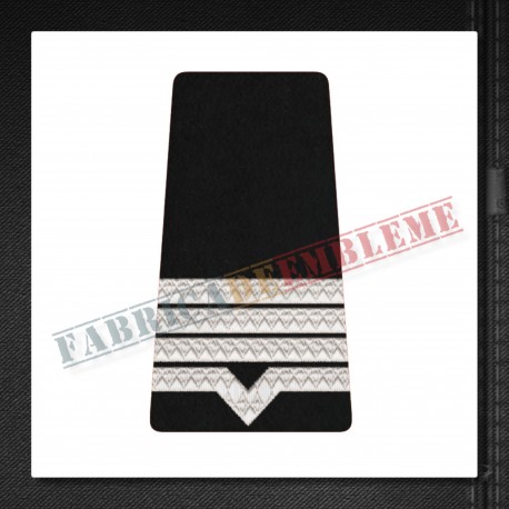 Maistru militar clasa a II-a - Forte Terestre