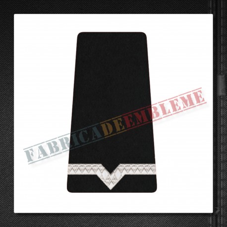 Maistru militar clasa a V-a - Forte Terestre