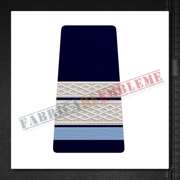 Elev sergent major - Forte Terestre si Forte Aeriene (colegii militare)