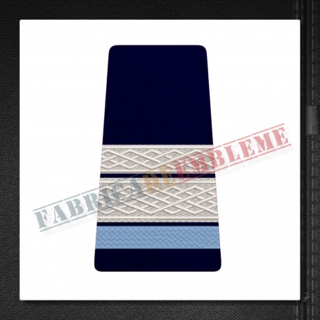 Elev sergent major - Forte Terestre si Forte Aeriene (colegii militare)