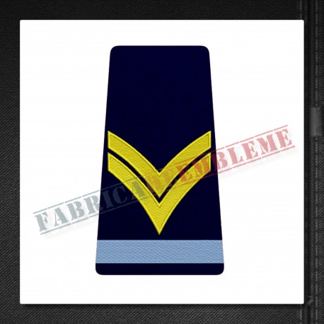 Elev caporal - Forte Terestre si Forte Aeriene (colegii militare)