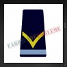 Elev fruntas - Forte Terestre si Forte Aeriene (colegii militare)
