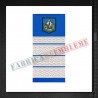 Grade militare plutonier adjutant sef - Jandarmi
