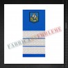 Grade militare plutonier adjutant - Jandarmi