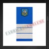Grade militare plutonier major - Jandarmi