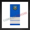 Grade militare plutonier - Jandarmi
