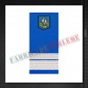 Grade militare sergent major - Jandarmi