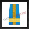Locotenent-colonel - Forte Aeriene
