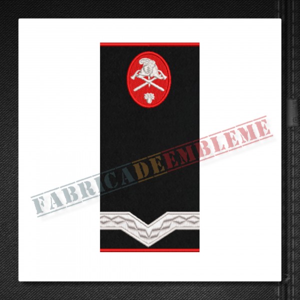 Grade militare maistru militar clasa a V-a pompieri