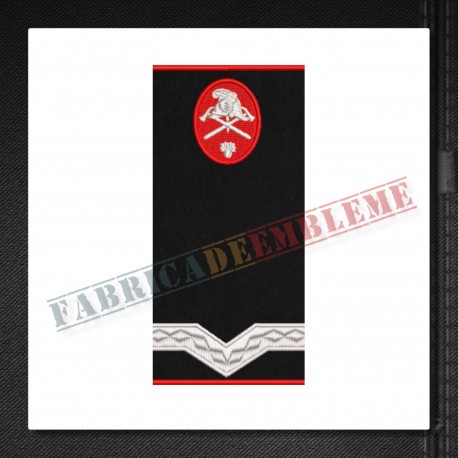 Grade militare maistru militar clasa a V-a pompieri
