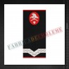 Grade militare maistru militar clasa a V-a pompieri