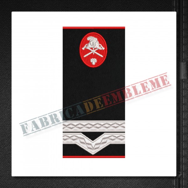 Grade militare maistru militar clasa a IV-a pompieri