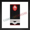 Grade militare maistru militar clasa a IV-a pompieri