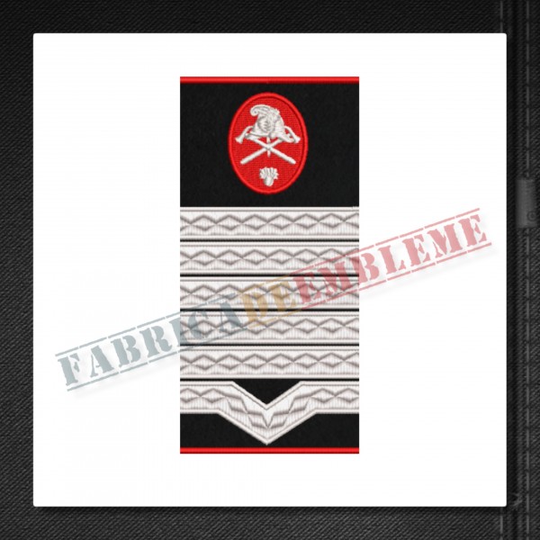 Grade militare maistru militar principal pompieri