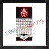 Grade militare maistru militar principal pompieri
