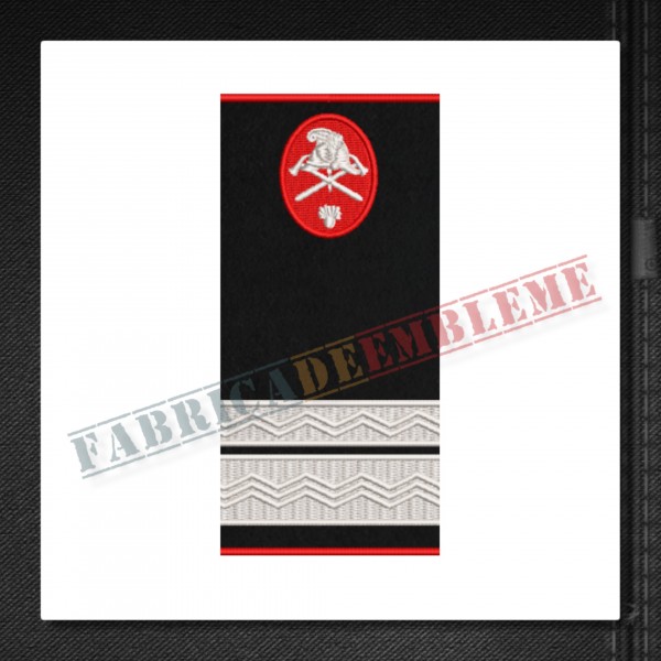 Grade militare sergent major pompieri