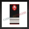 Grade militare sergent major pompieri