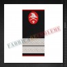 Grade militare plutonier pompieri