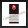 Grade militare plutonier major pompieri