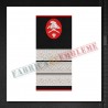 Grade militare plutonier adjutant pompieri