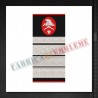 Grade militare plutonier adjutant sef pompieri