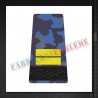 Grade militare sergent elev - Forte Navale COMBAT (invatamant 1 si 2 ani)