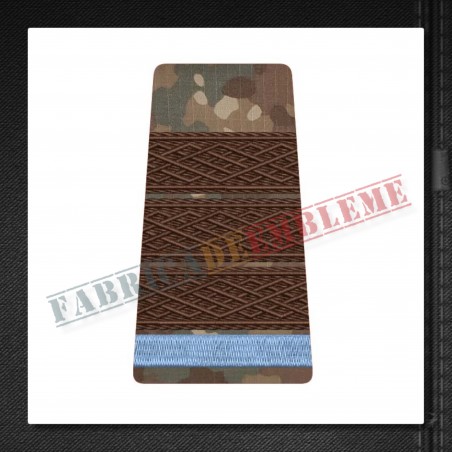 Grade militare plutonier adjutant elev - Forte Terestre COMBAT (colegii militare)