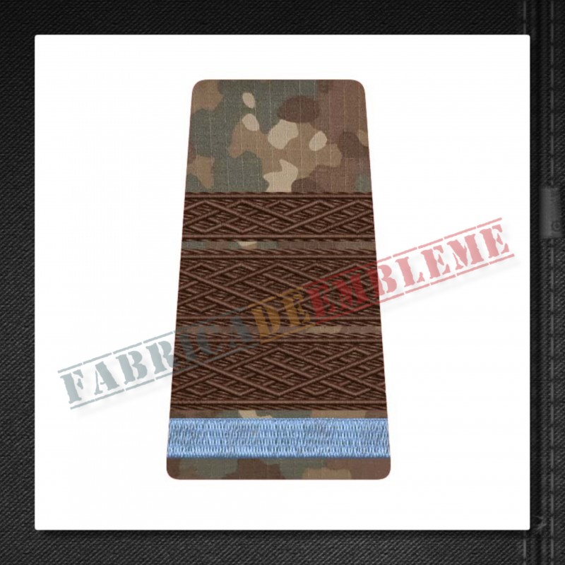 Grade militare plutonier major elev - Forte Terestre COMBAT (colegii militare)