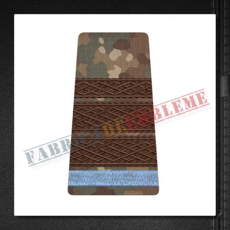 Grade militare plutonier major elev - Forte Terestre COMBAT (colegii militare)