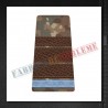 Grade militare plutonier major elev - Forte Terestre COMBAT (colegii militare)