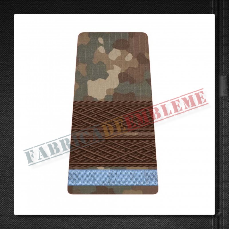 Grade militare plutonier elev - Forte Terestre COMBAT (colegii militare)