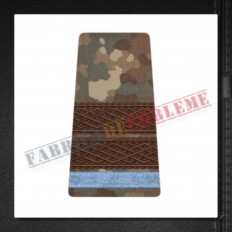 Grade militare plutonier elev - Forte Terestre COMBAT (colegii militare)