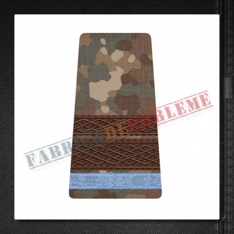 Grade militare sergent major elev - Forte Terestre COMBAT (colegii militare)