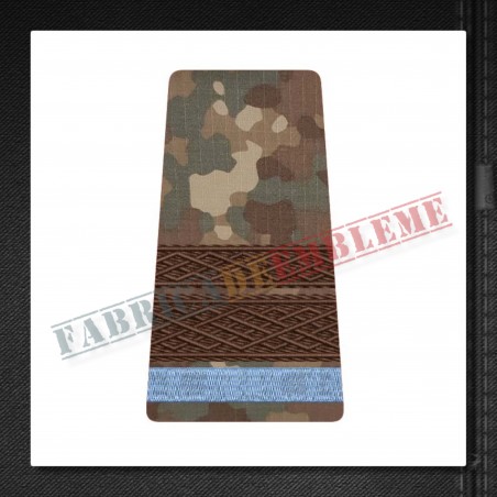 Grade militare sergent major elev - Forte Terestre COMBAT (colegii militare)