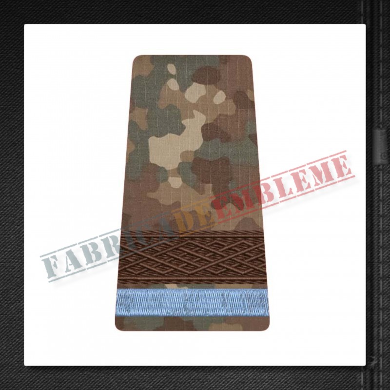 Grade militare sergent elev - Forte Terestre COMBAT (colegii militare)
