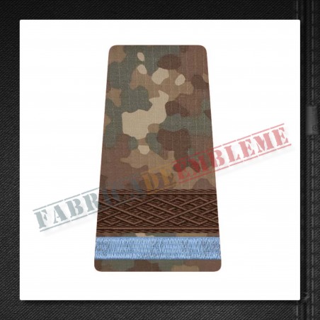 Grade militare sergent elev - Forte Terestre COMBAT (colegii militare)