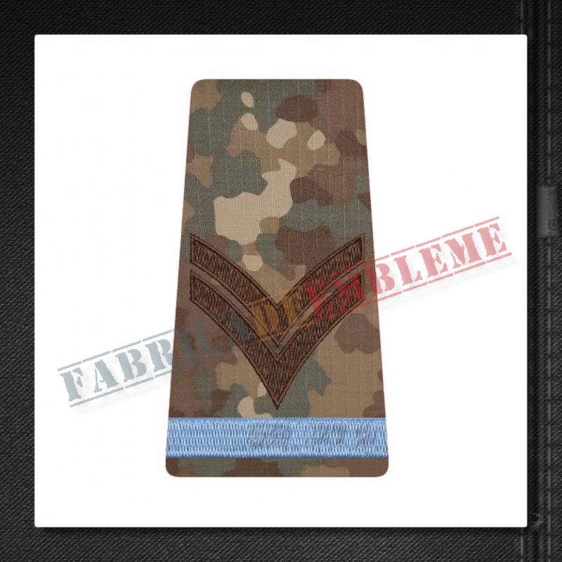 Grade militare caporal elev - Forte Terestre COMBAT (colegii militare)