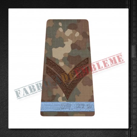Grade militare caporal elev - Forte Terestre COMBAT (colegii militare)