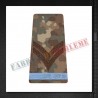 Grade militare caporal elev - Forte Terestre COMBAT (colegii militare)