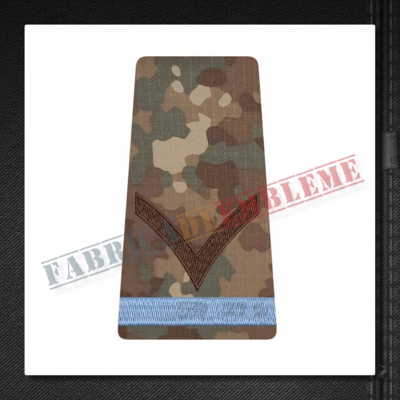Grade militare fruntas elev - Forte Terestre COMBAT (colegii militare)