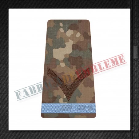 Grade militare fruntas elev - Forte Terestre COMBAT (colegii militare)