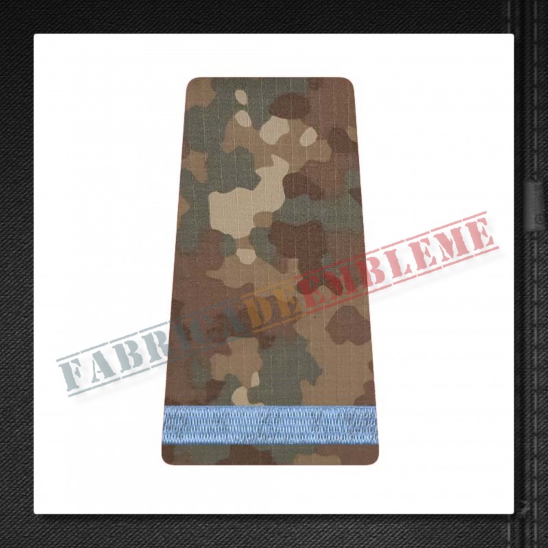 Grade militare elev negradat - Forte Terestre COMBAT (colegii militare)