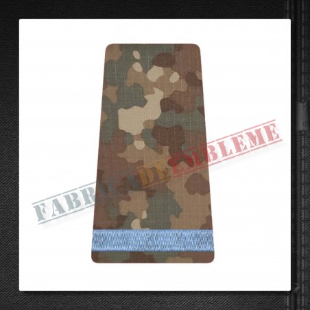 Grade militare elev negradat - Forte Terestre COMBAT (colegii militare)